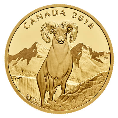 RCM-New-Release:-2018-99.999%-1-Oz.-Pure-Gold-Coin---Bighorn-Sheep
